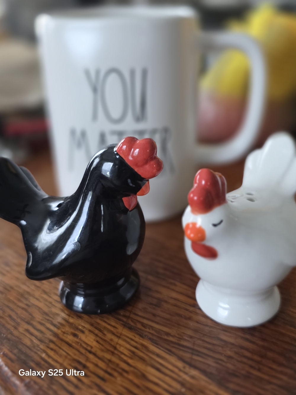 Ceramic Chicken Salt and Pepper Shakers - Black & White with Red Accents